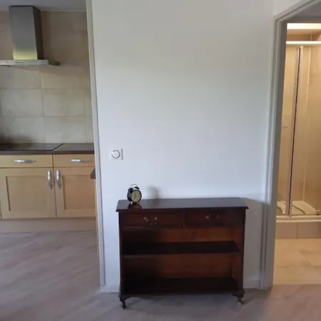 Apartment - Vue Imprenable Sur Le Leman *