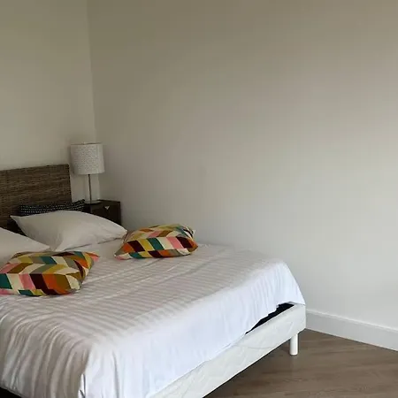 - Vue Imprenable Sur Le Leman Apartment *